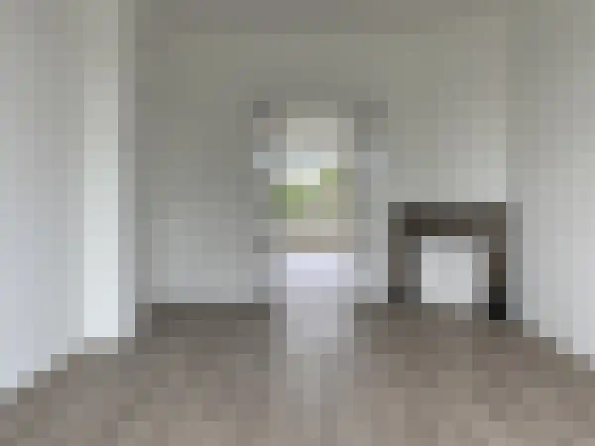 Soestdijksekade 89 Den Haag thumbnail 4