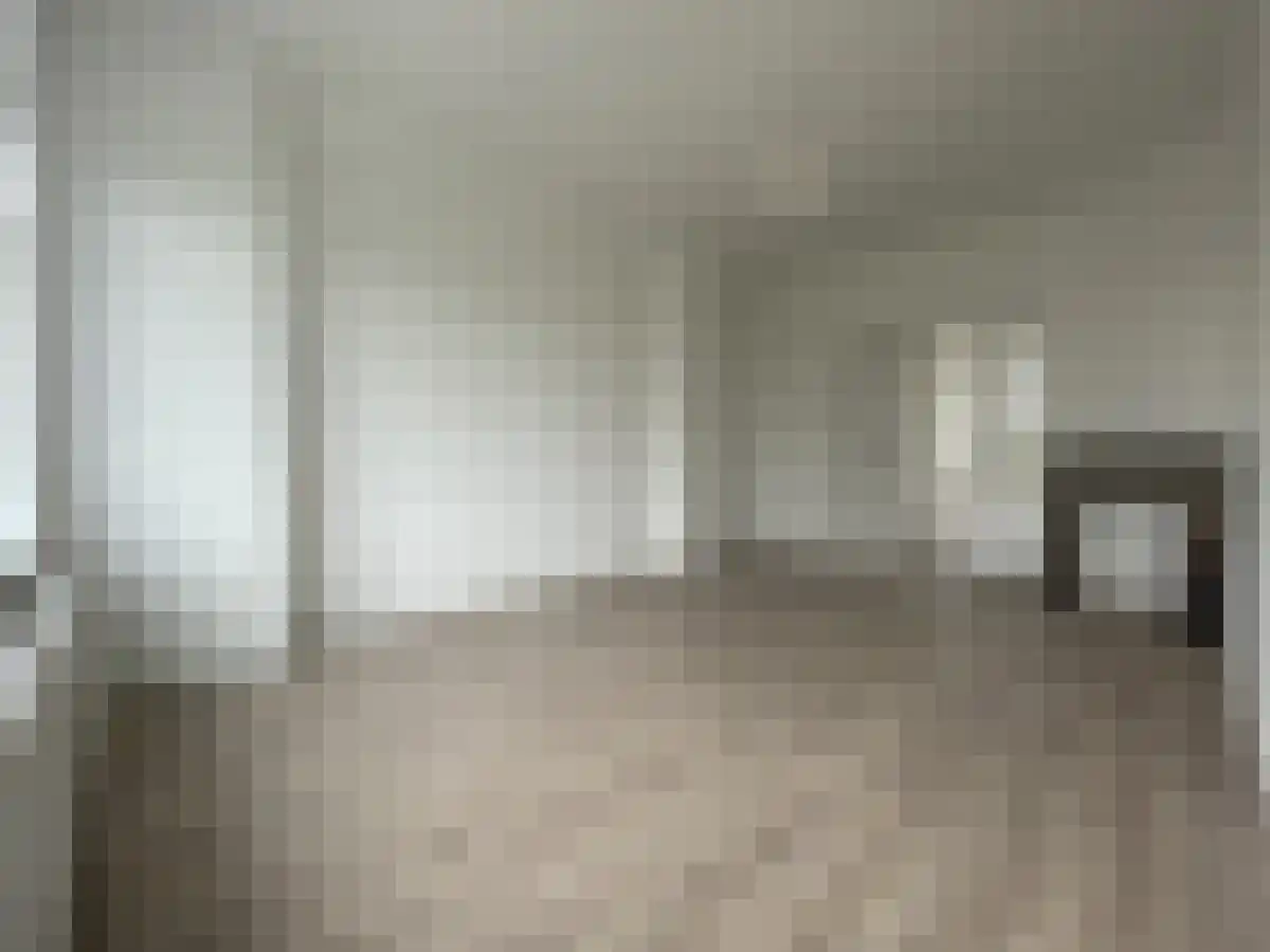 Soestdijksekade 89 Den Haag thumbnail 6