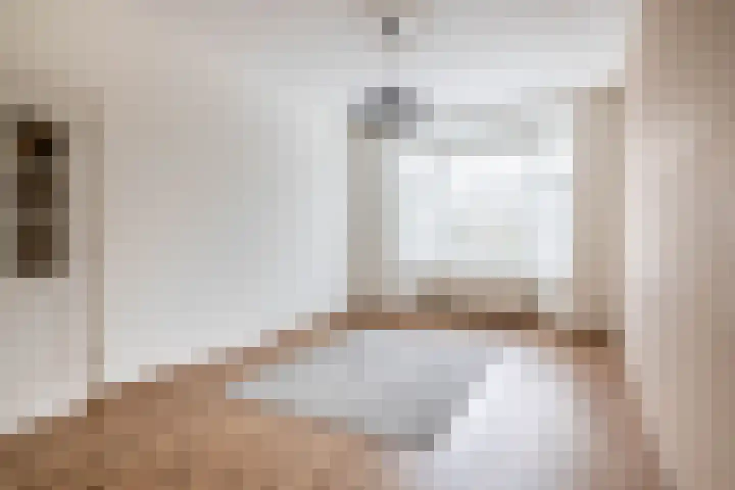 Soestdijksekade 916 Den Haag thumbnail 13