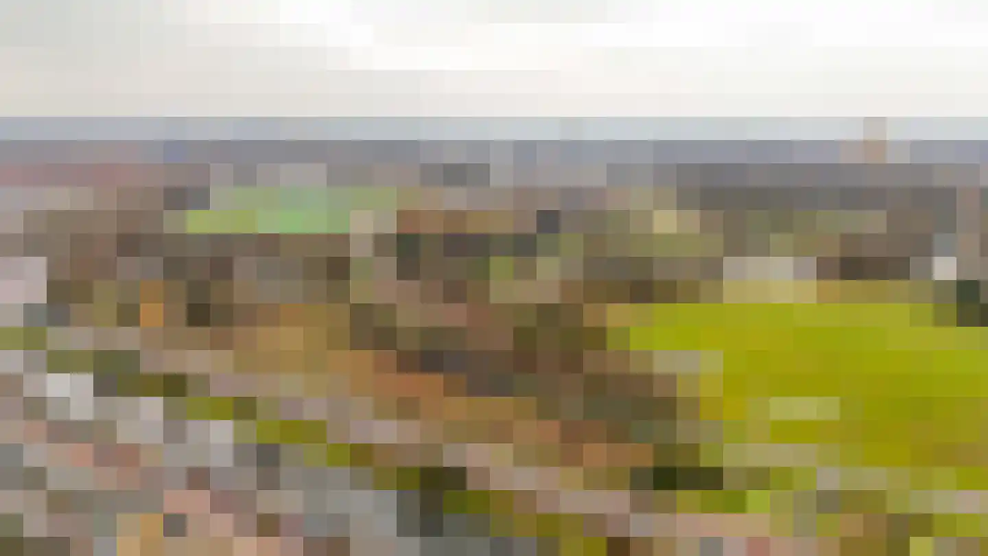 Soestdijksekade 916 Den Haag thumbnail 35