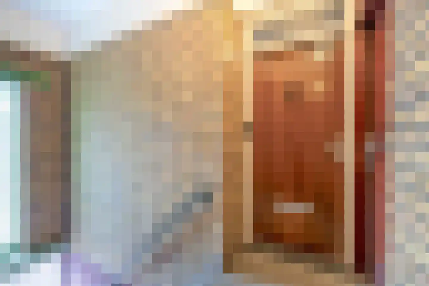 Soestdijksekade 916 Den Haag thumbnail 9