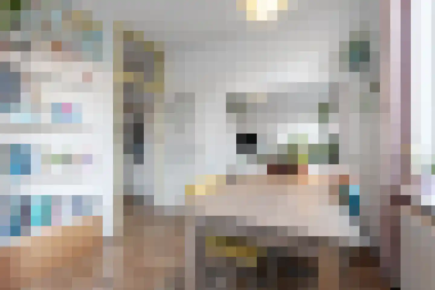 Soestdijksekade 92 Den Haag thumbnail 10