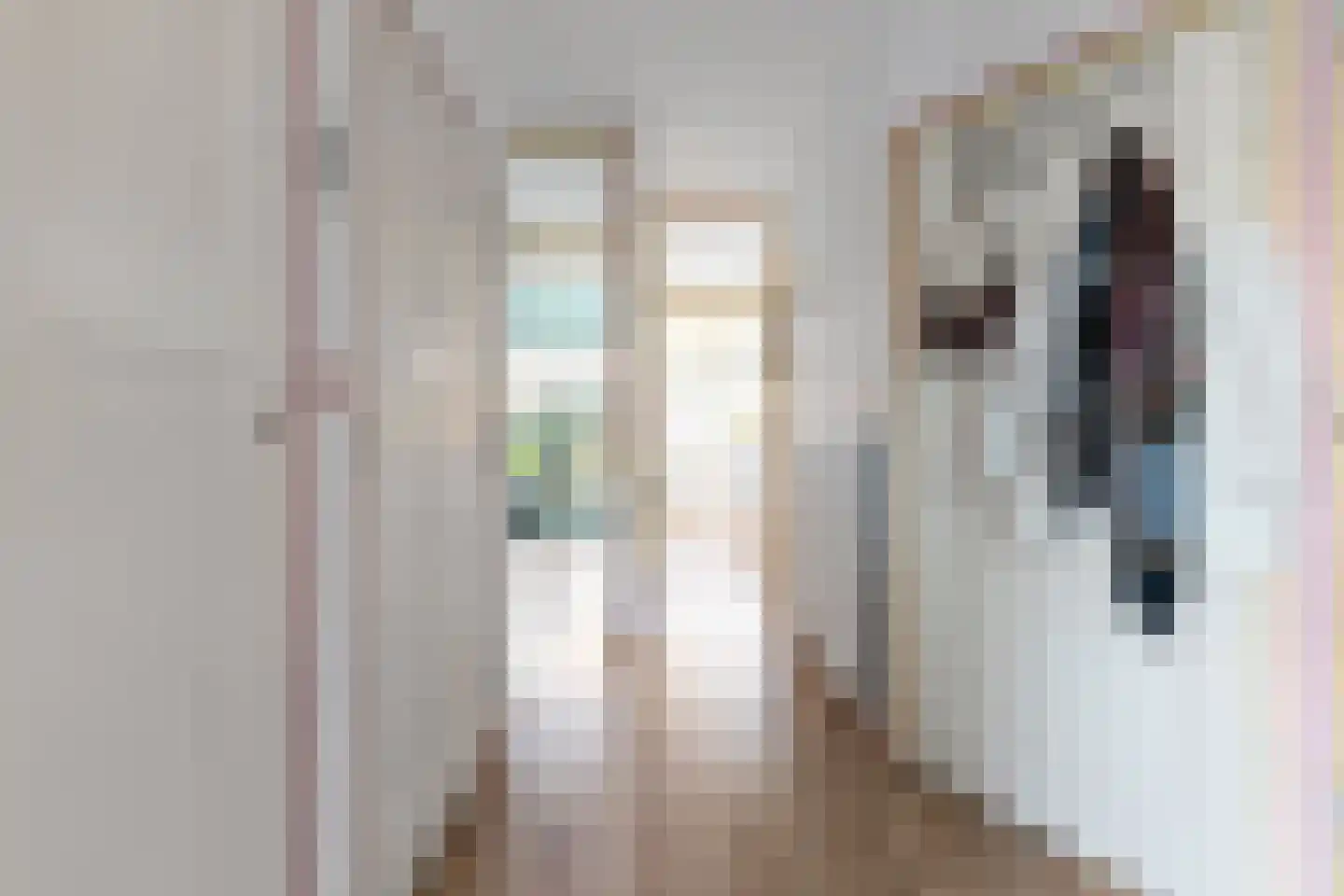 Soestdijksekade 92 Den Haag thumbnail 11