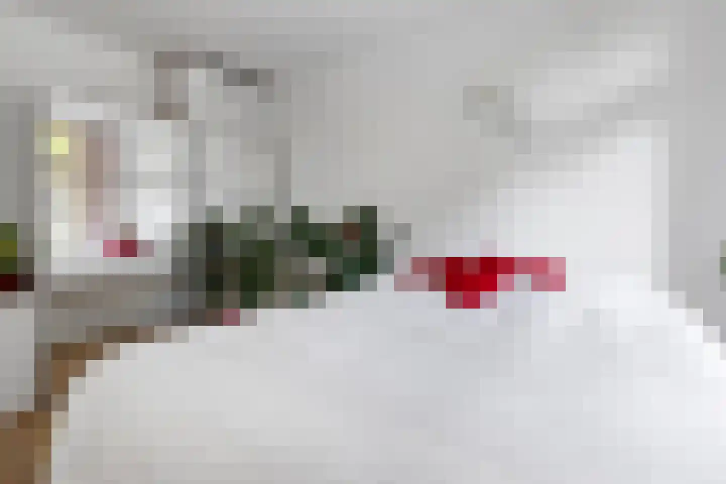 Soestdijksekade 92 Den Haag thumbnail 15