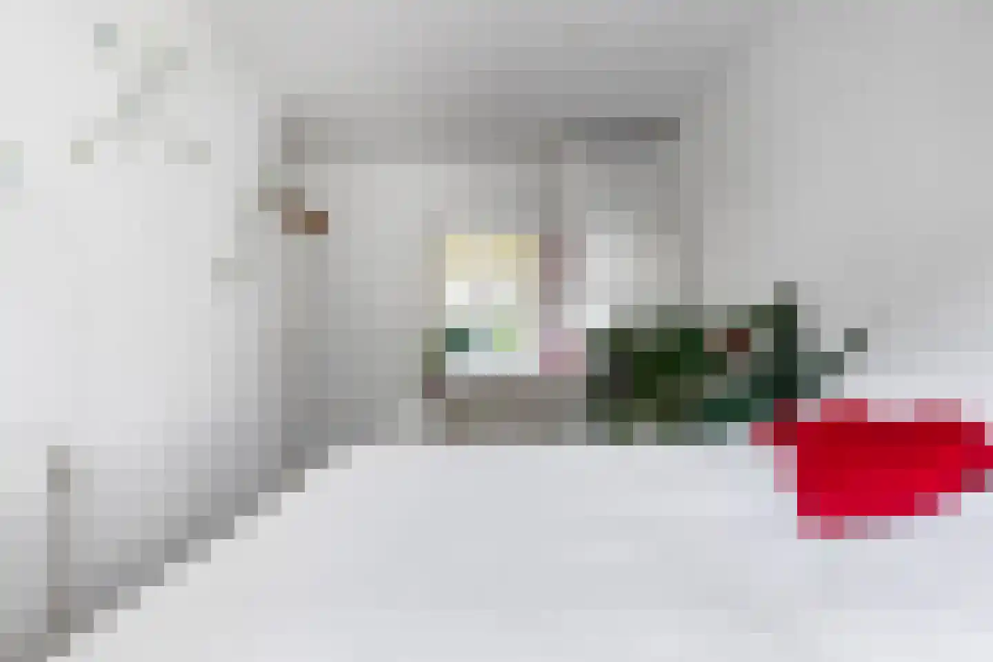 Soestdijksekade 92 Den Haag thumbnail 16
