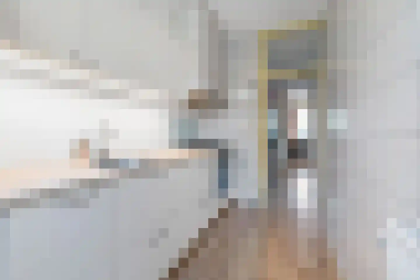 Soestdijksekade 92 Den Haag thumbnail 20