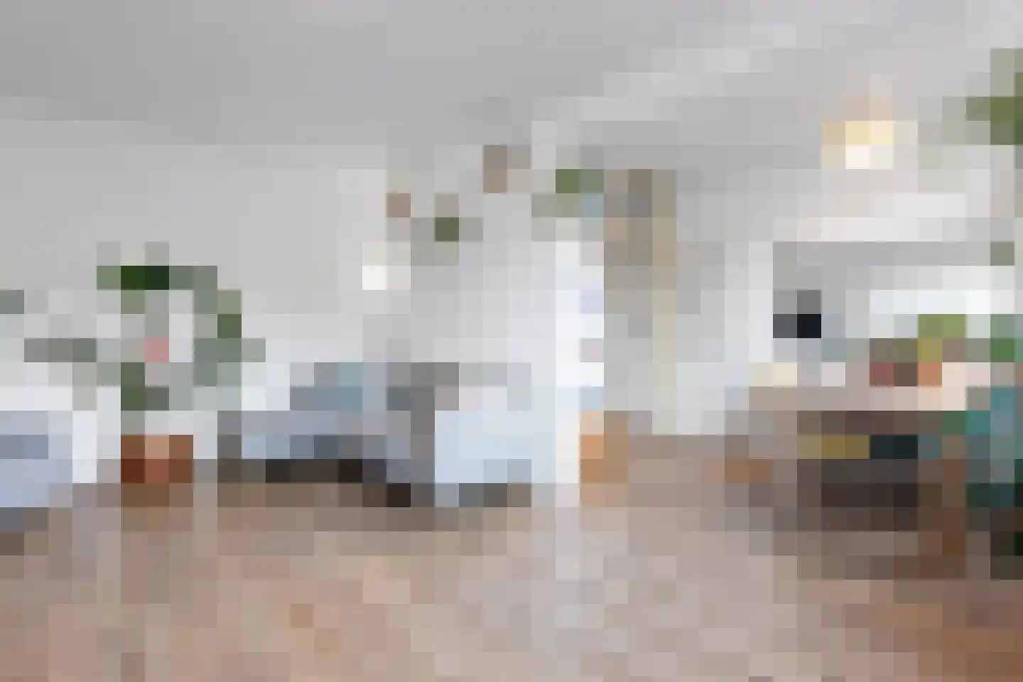 Soestdijksekade 92 Den Haag thumbnail 5