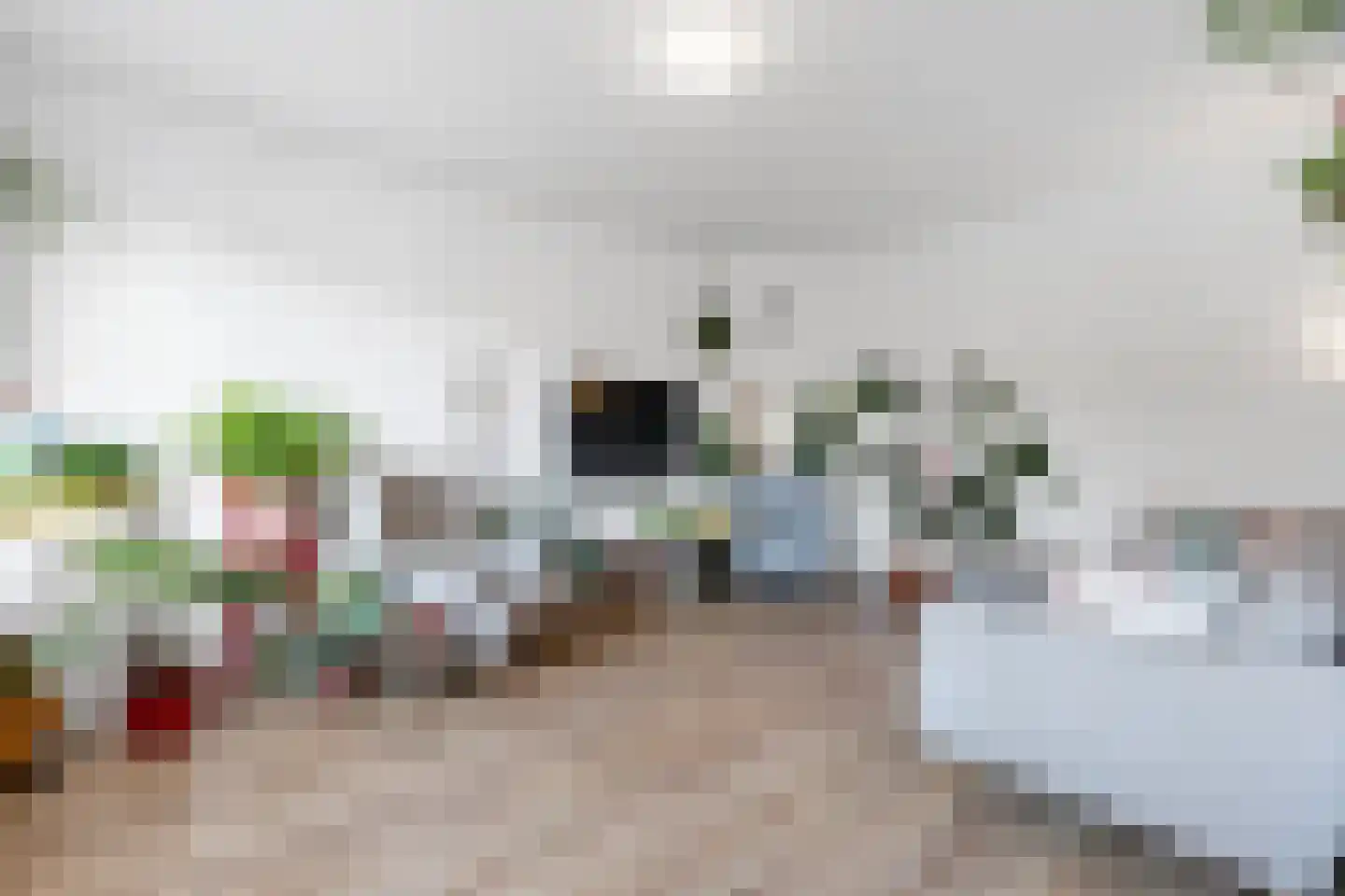 Soestdijksekade 92 Den Haag thumbnail 7