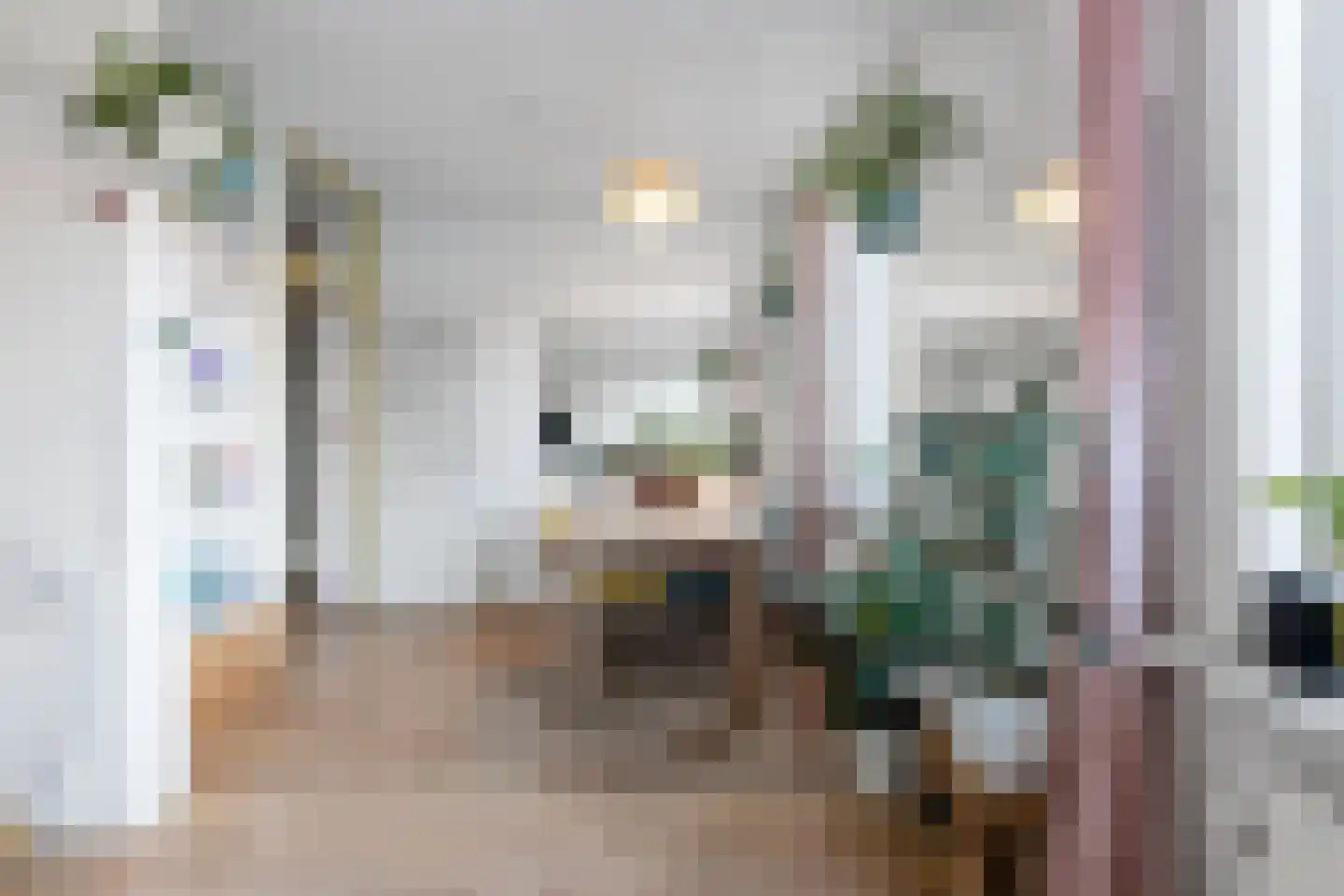 Soestdijksekade 92 Den Haag thumbnail 9