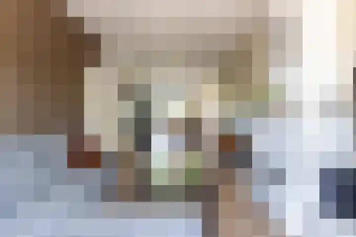 Soestdijksekade 922 Den Haag thumbnail 12
