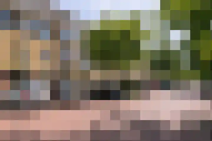 Soestdijksekade 922 Den Haag thumbnail 5