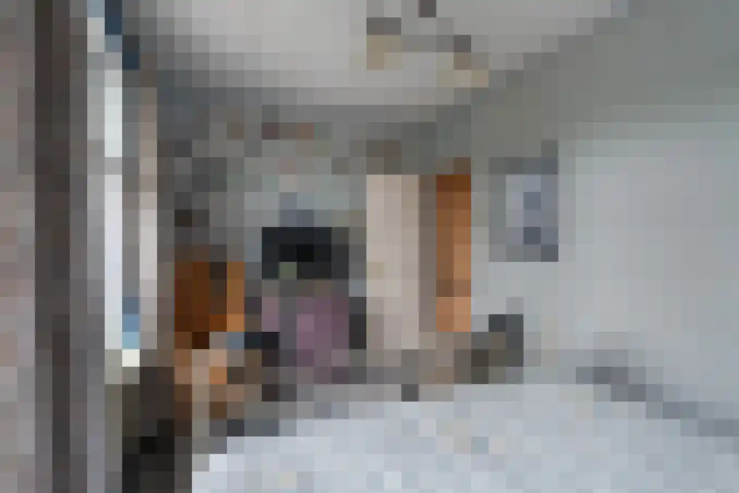 Soestdijksekade 930 Den Haag thumbnail 10