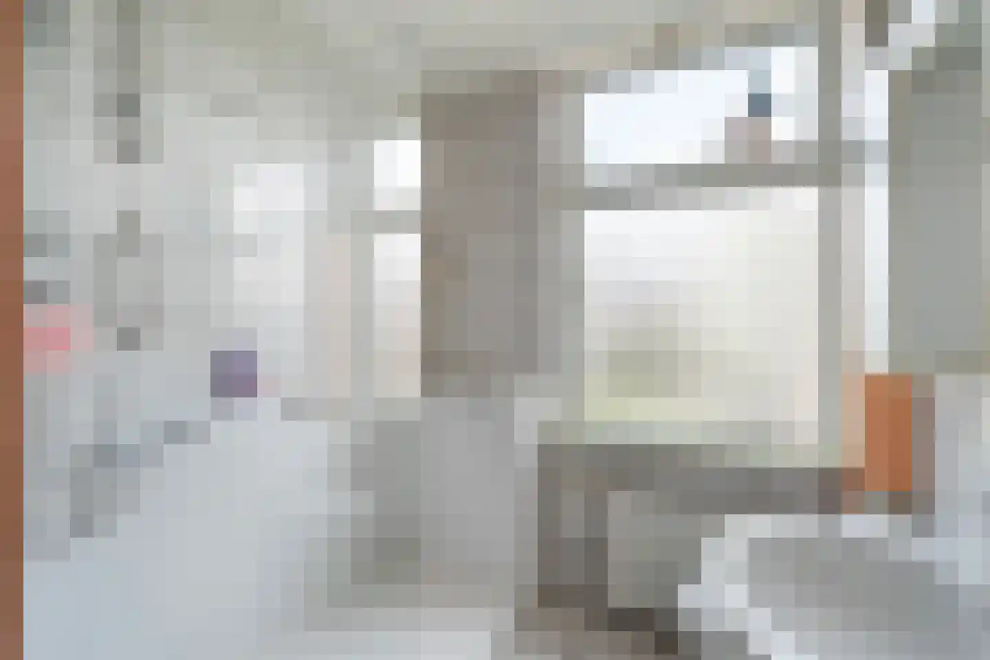 Soestdijksekade 930 Den Haag thumbnail 11