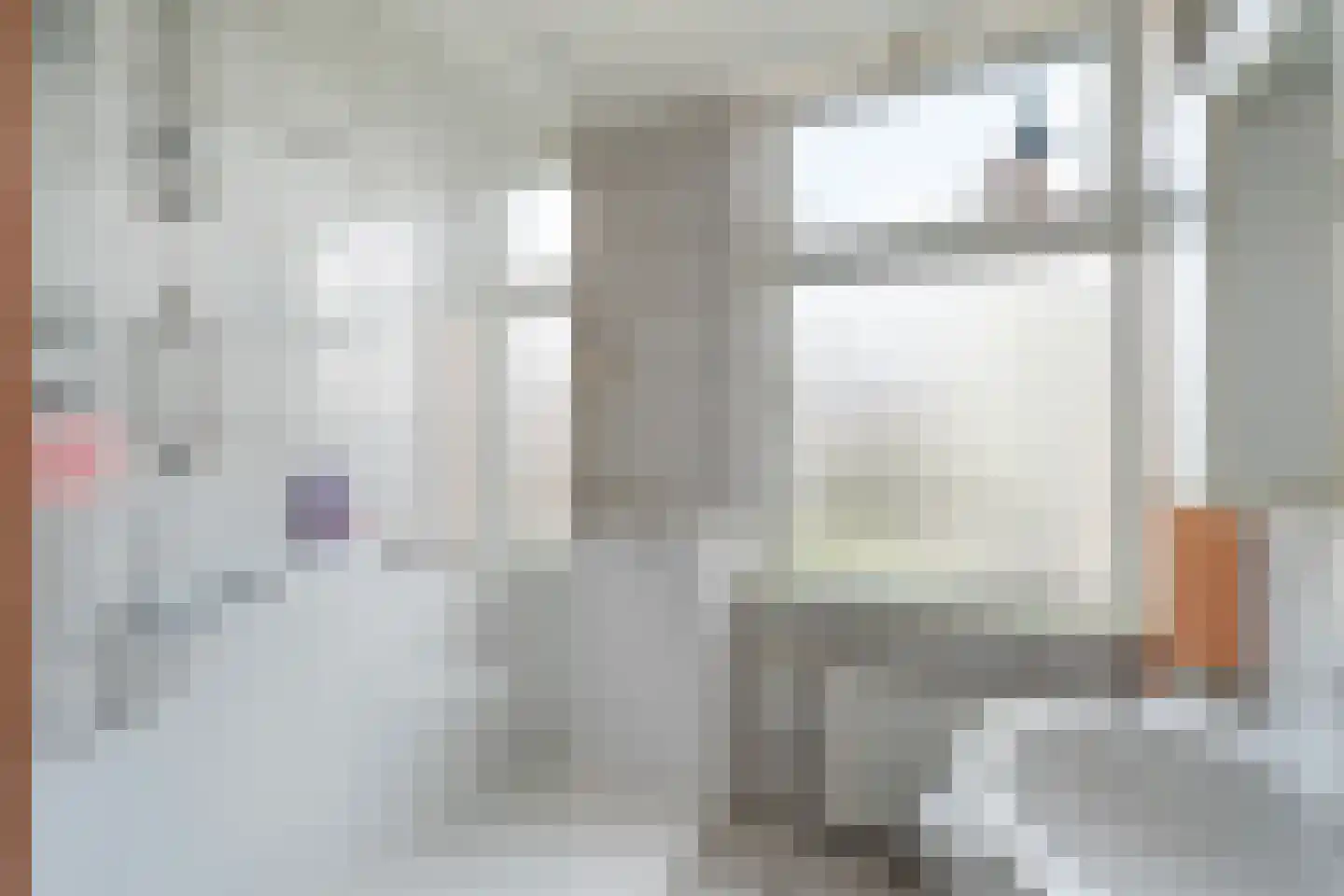 Soestdijksekade 930 Den Haag thumbnail 11
