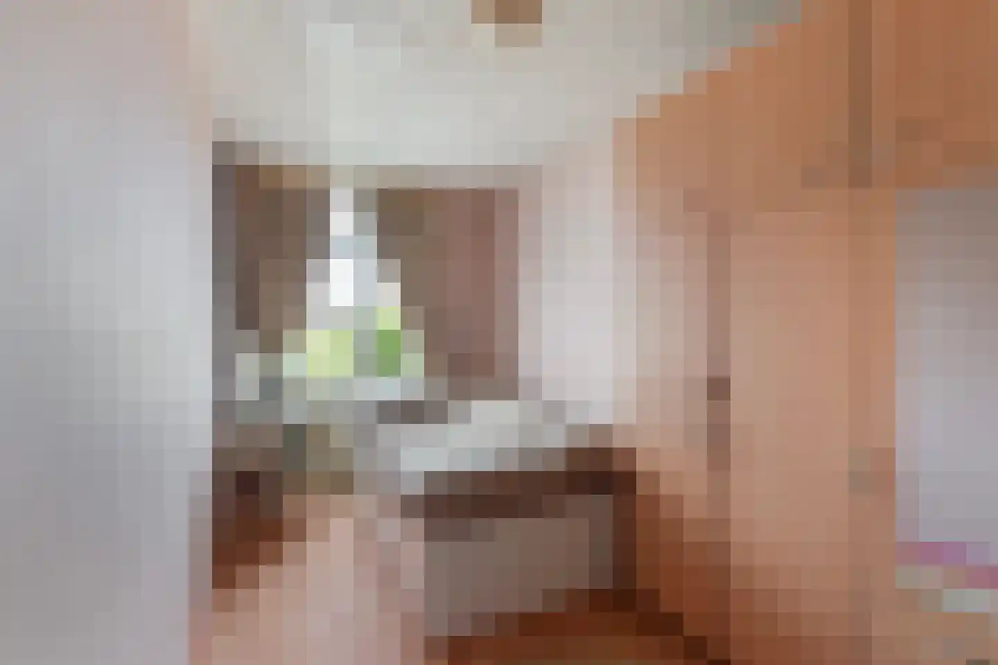 Soestdijksekade 930 Den Haag thumbnail 13