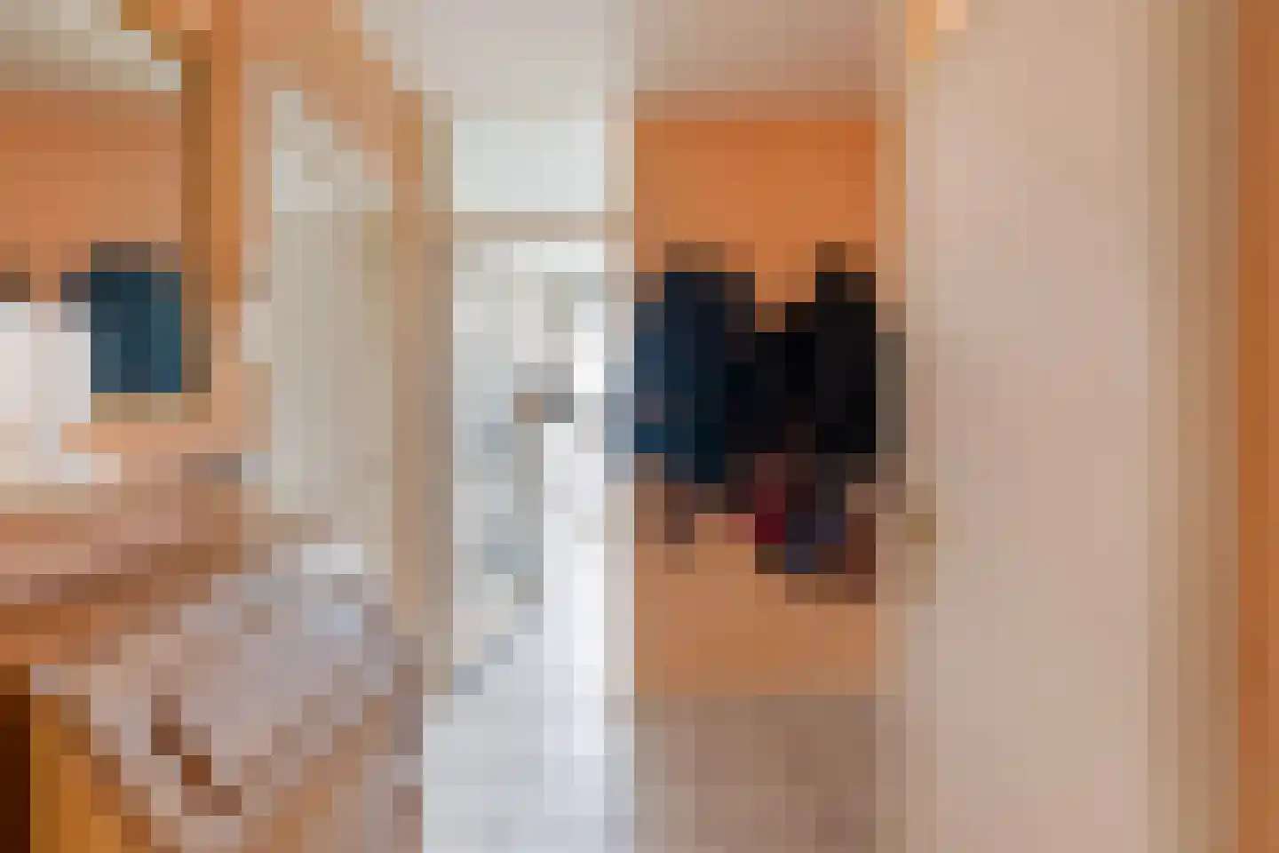 Soestdijksekade 930 Den Haag thumbnail 18