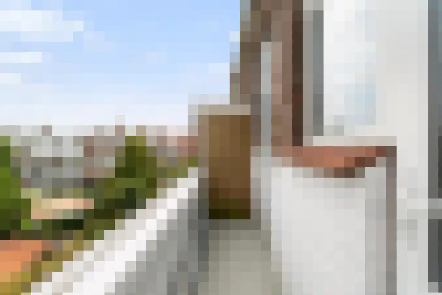 Soestdijksekade 930 Den Haag thumbnail 23