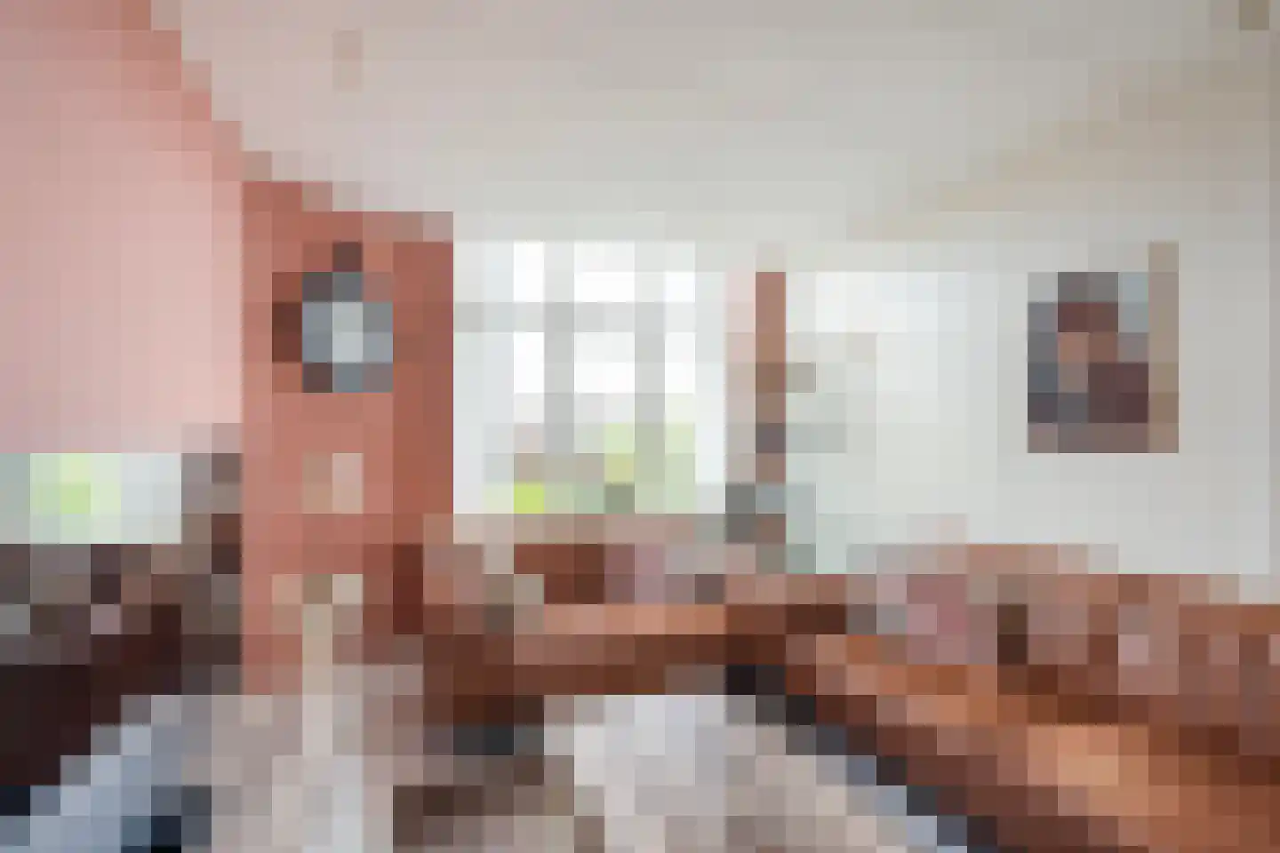 Soestdijksekade 930 Den Haag thumbnail 5