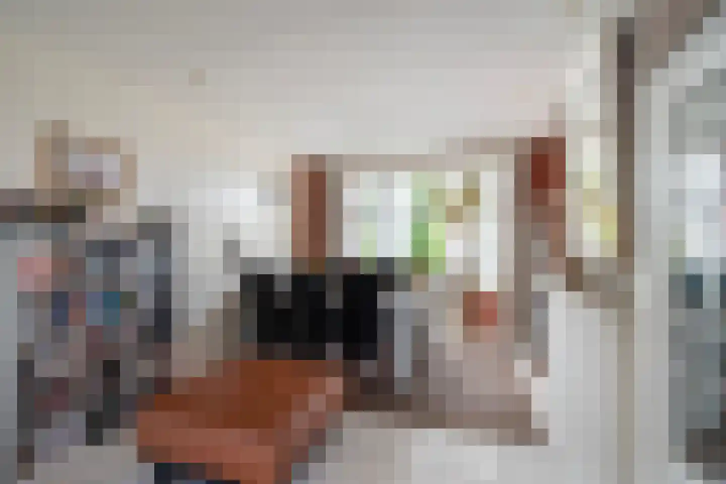 Soestdijksekade 930 Den Haag thumbnail 6