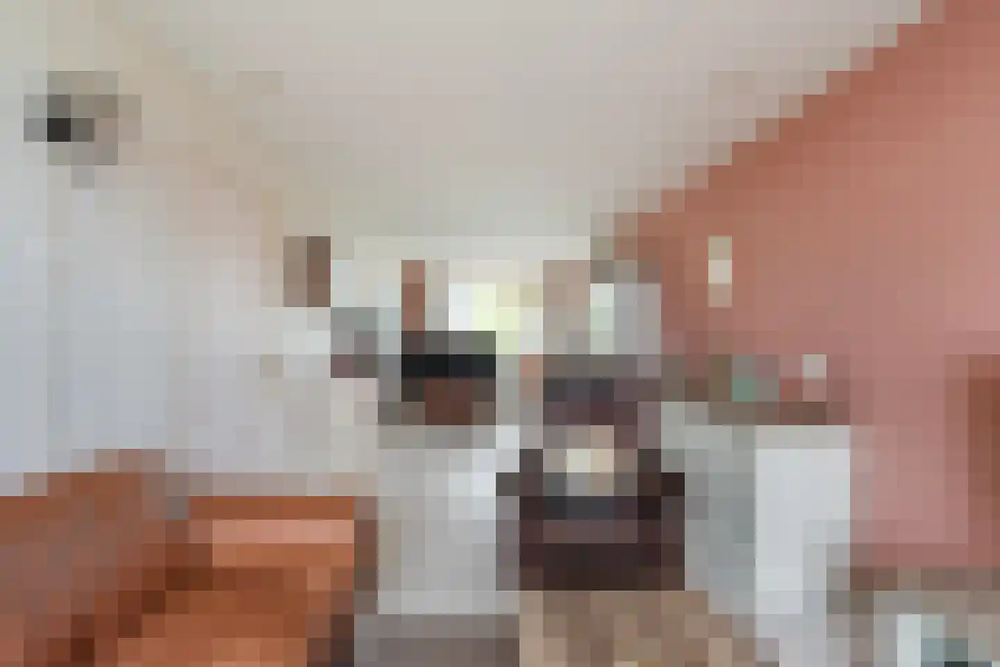 Soestdijksekade 930 Den Haag thumbnail 7