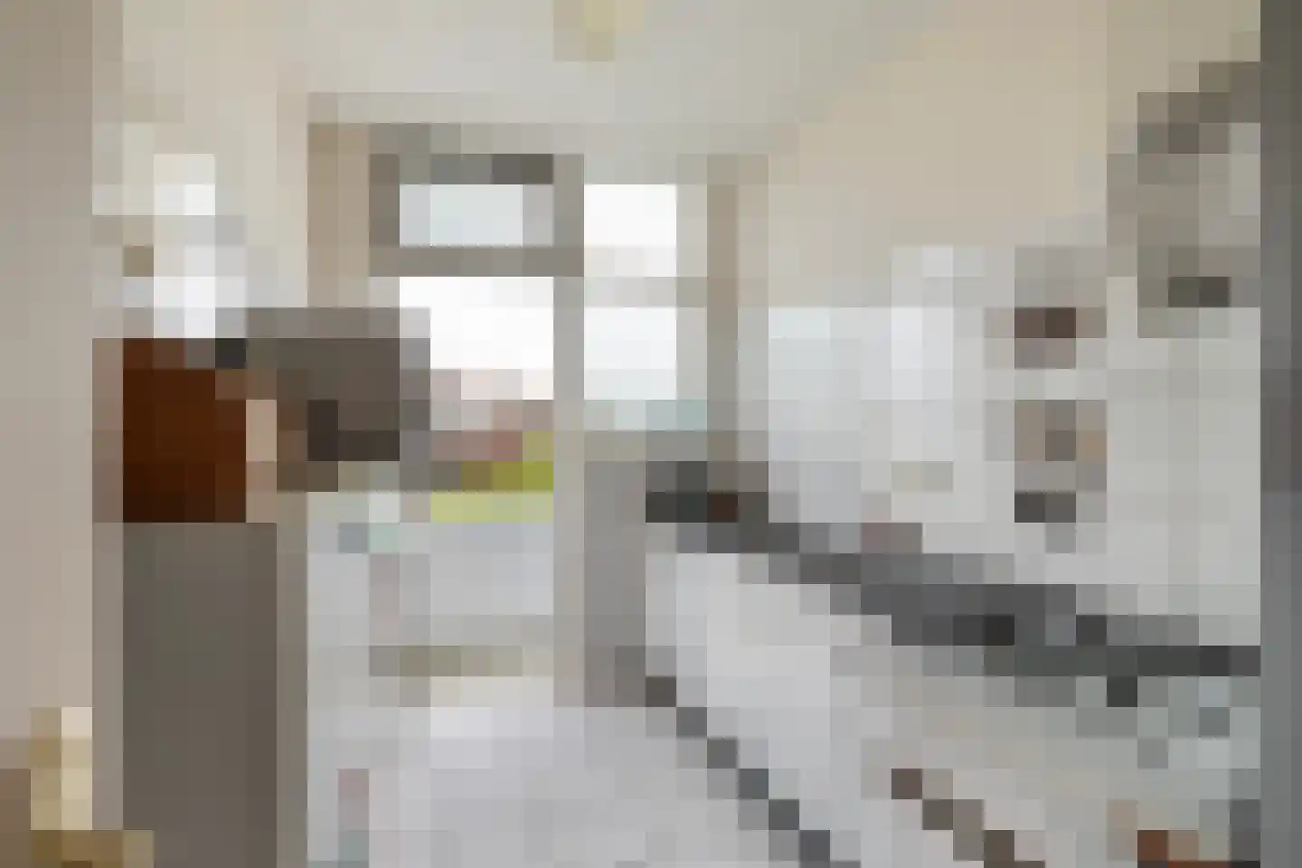 Soestdijksekade 930 Den Haag thumbnail 8