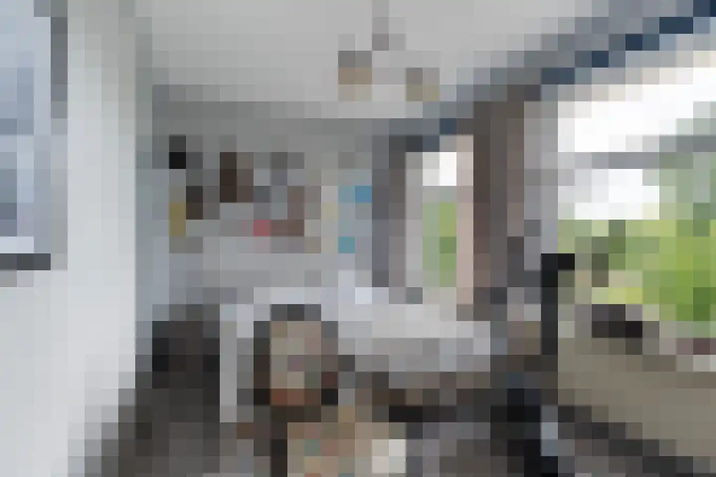 Soestdijksekade 930 Den Haag thumbnail 9