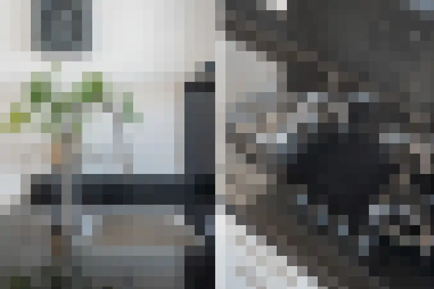 Soestdijksekade 942 Den Haag thumbnail 11