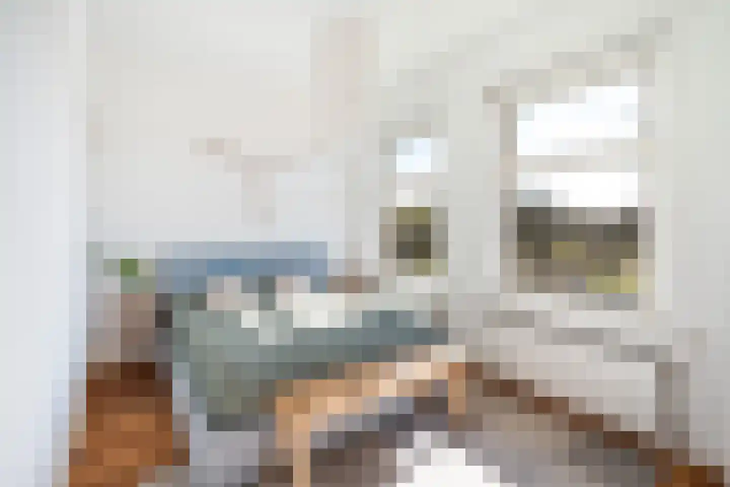 Soestdijksekade 942 Den Haag thumbnail 12