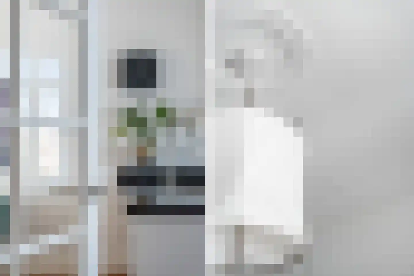 Soestdijksekade 942 Den Haag thumbnail 19