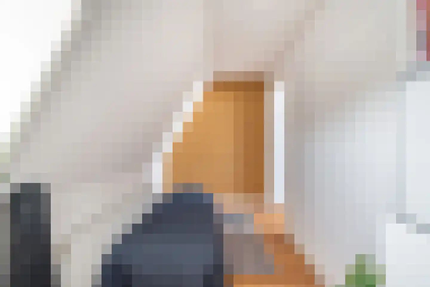 Soestdijksekade 942 Den Haag thumbnail 28