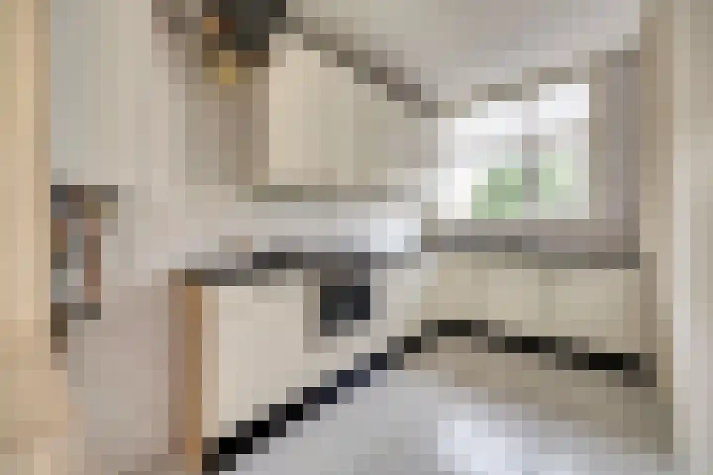 Soestdijksekade 946 Den Haag thumbnail 11