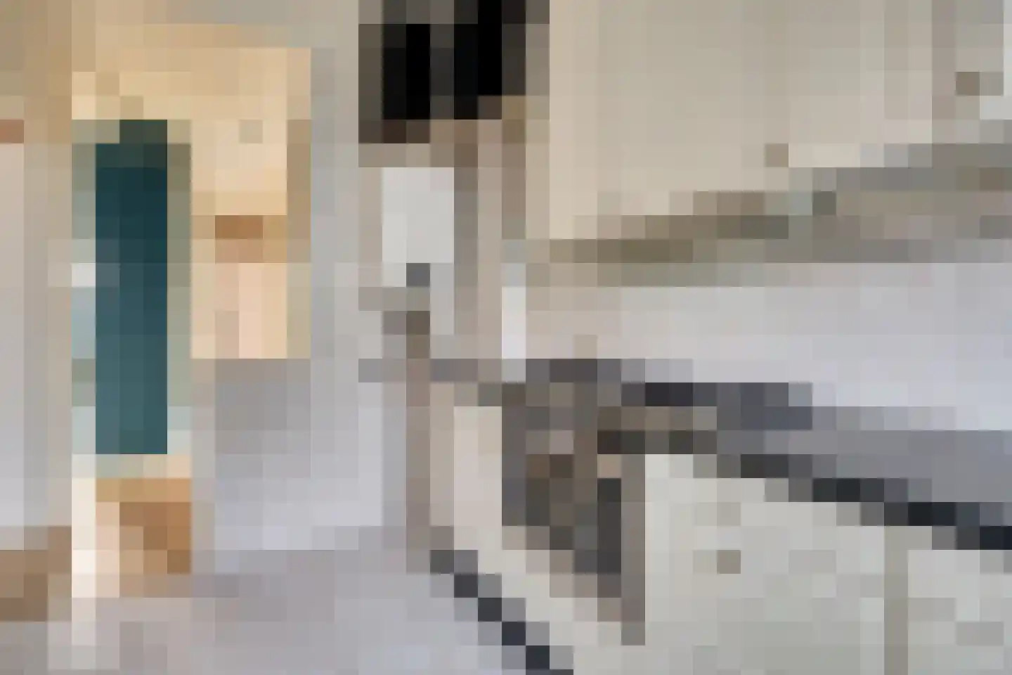 Soestdijksekade 946 Den Haag thumbnail 13