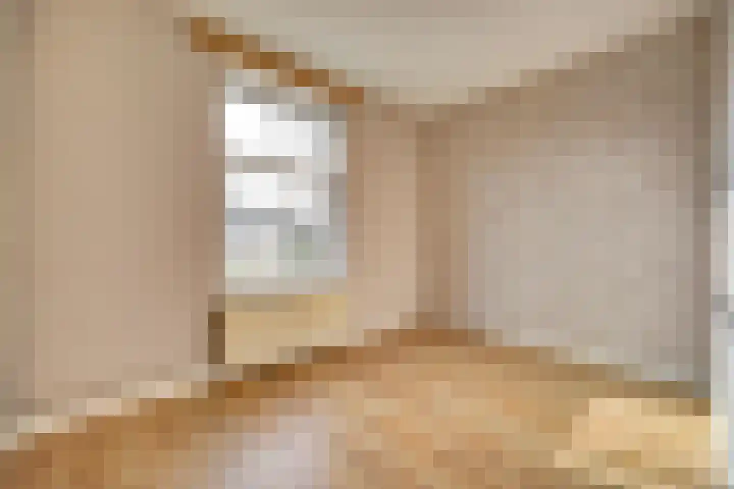 Soestdijksekade 946 Den Haag thumbnail 18