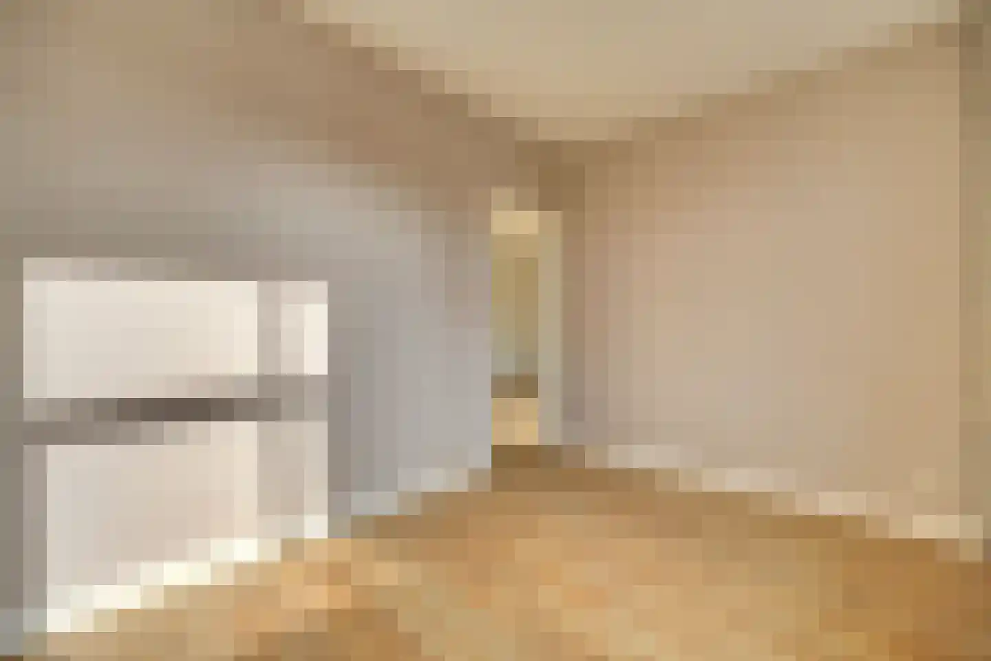 Soestdijksekade 946 Den Haag thumbnail 19
