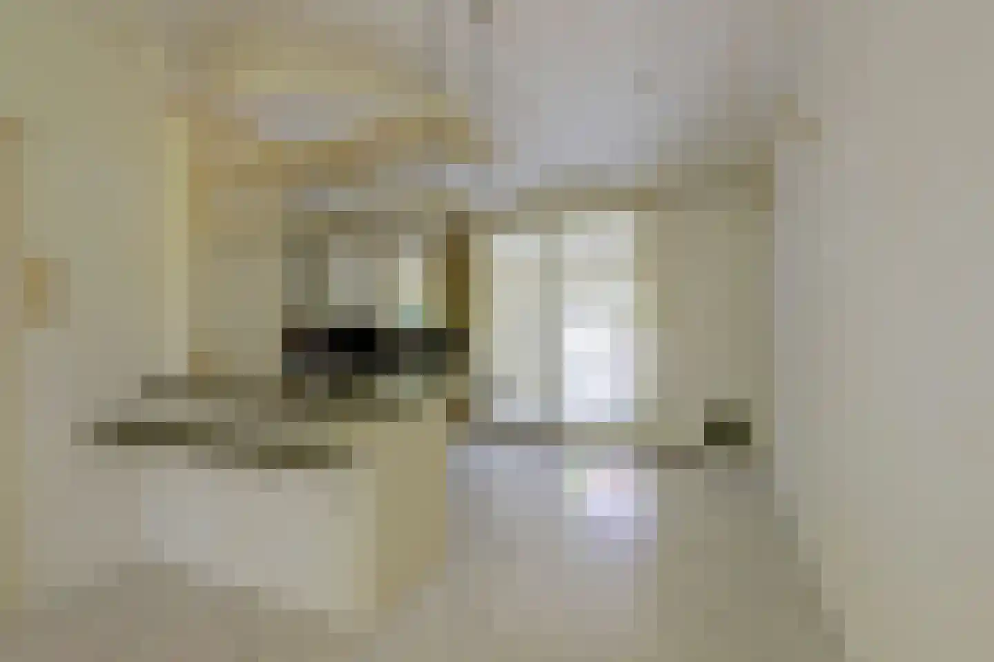 Soestdijksekade 948 Den Haag thumbnail 10