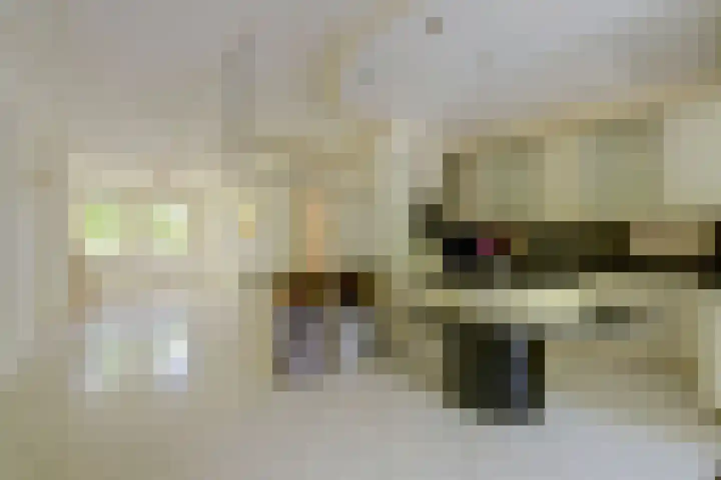 Soestdijksekade 948 Den Haag thumbnail 12