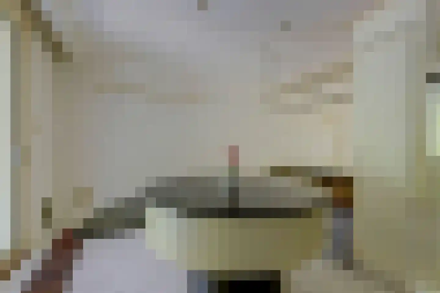 Soestdijksekade 948 Den Haag thumbnail 13