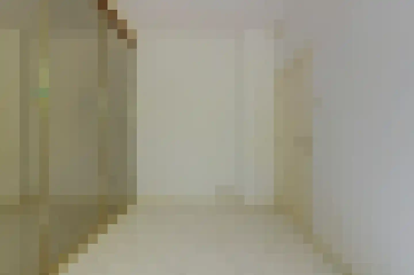 Soestdijksekade 948 Den Haag thumbnail 14