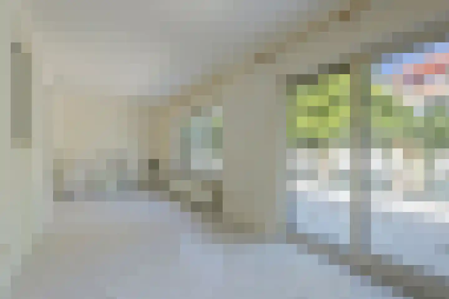 Soestdijksekade 948 Den Haag thumbnail 21
