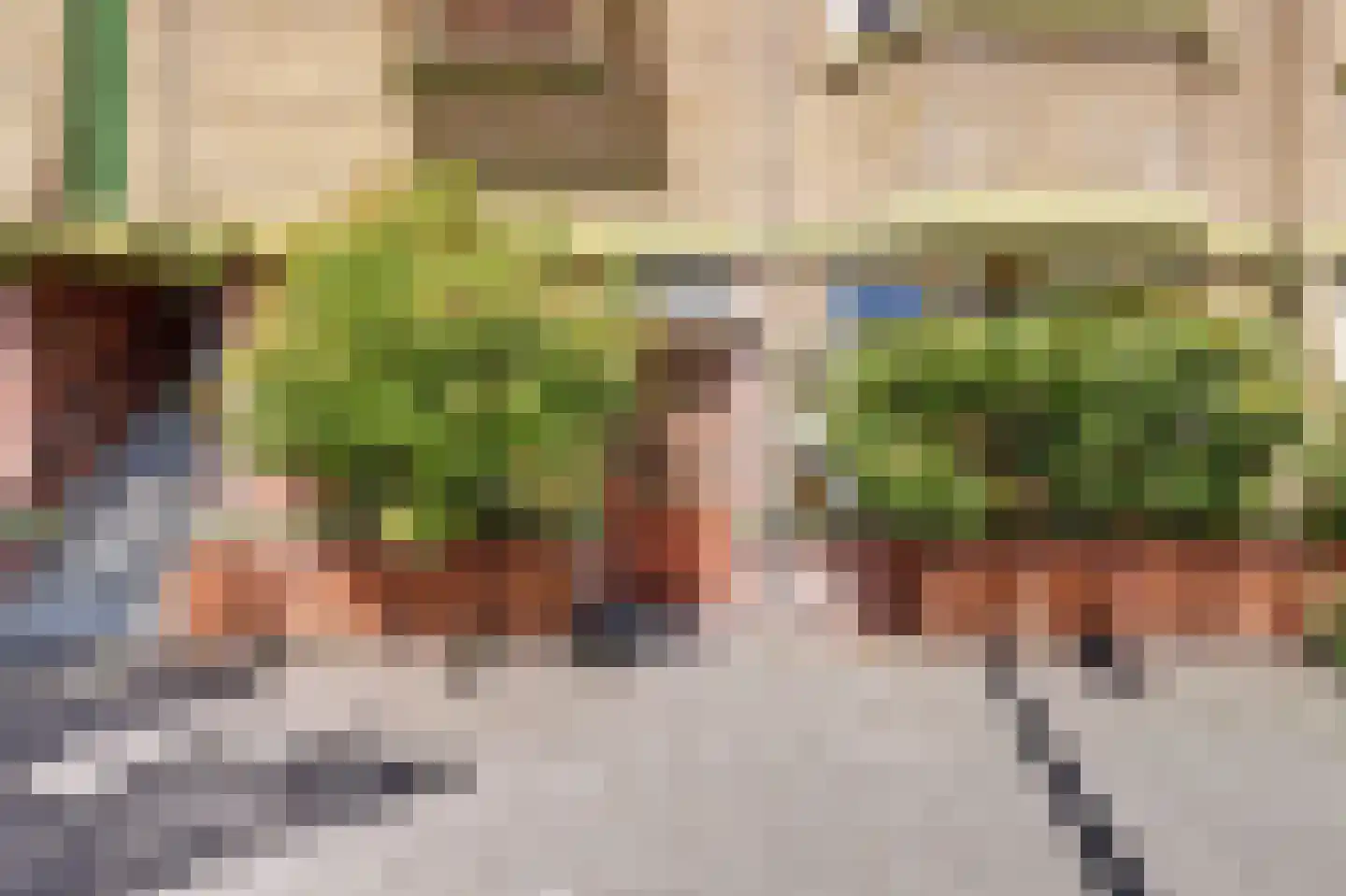 Soestdijksekade 948 Den Haag thumbnail 4