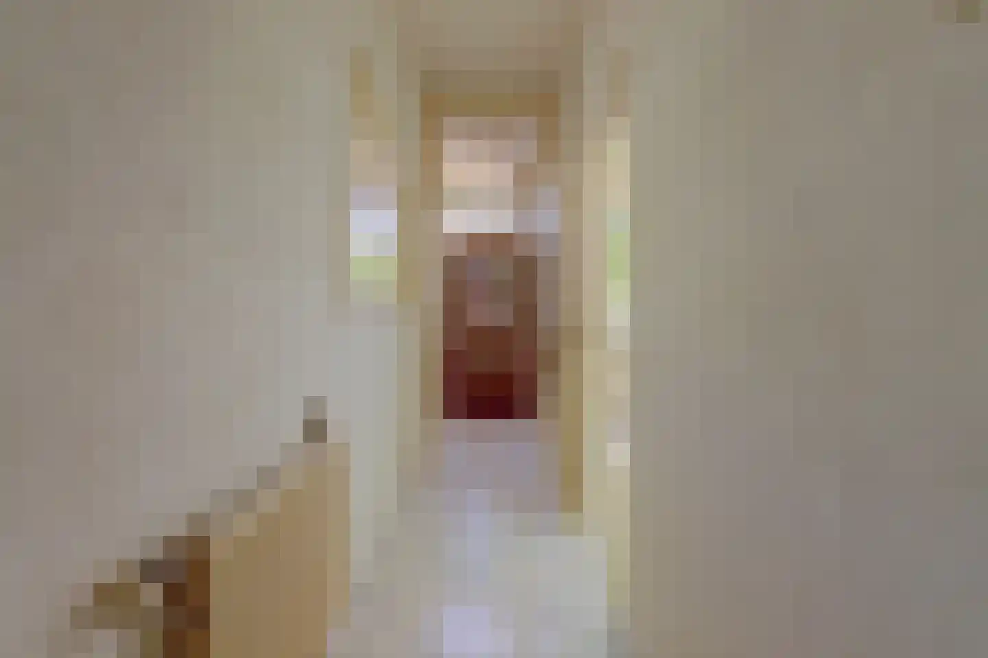Soestdijksekade 948 Den Haag thumbnail 5