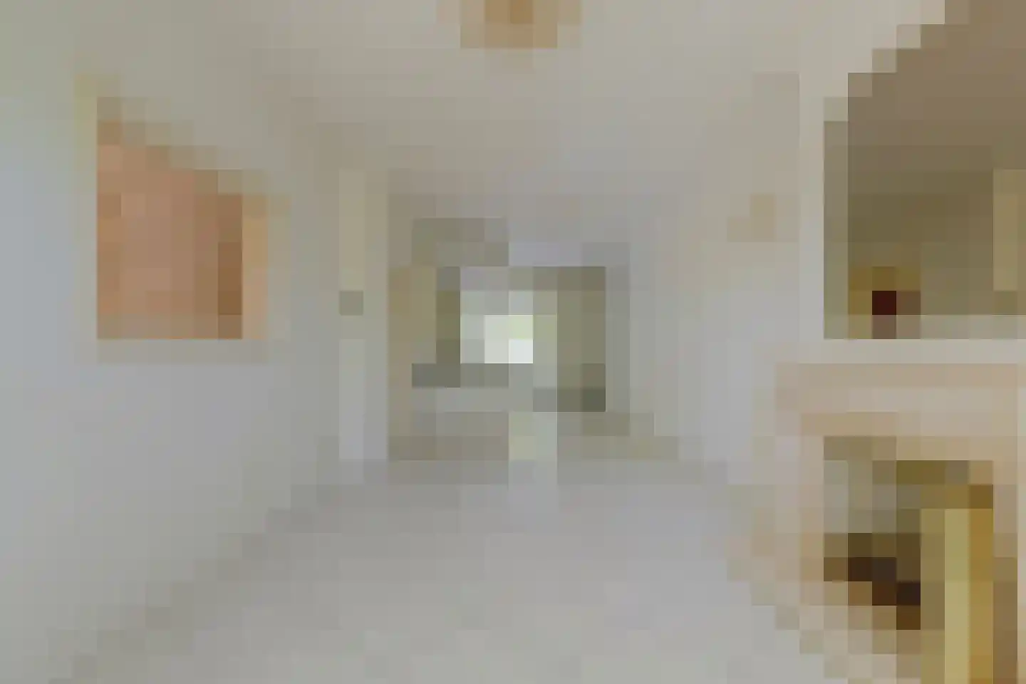 Soestdijksekade 948 Den Haag thumbnail 9