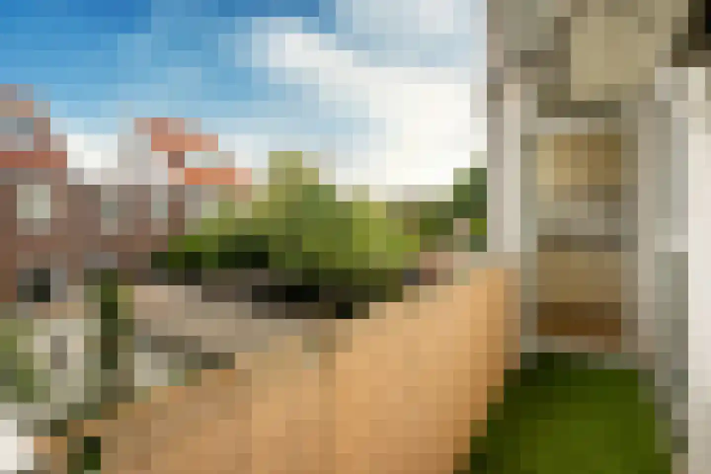 Soestdijksekade 96 Den Haag thumbnail 11