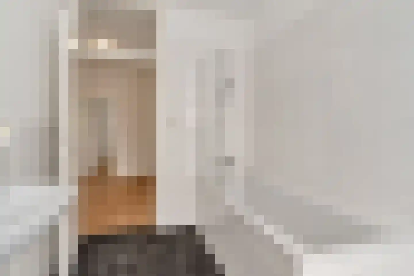 Soestdijksekade 96 Den Haag thumbnail 15