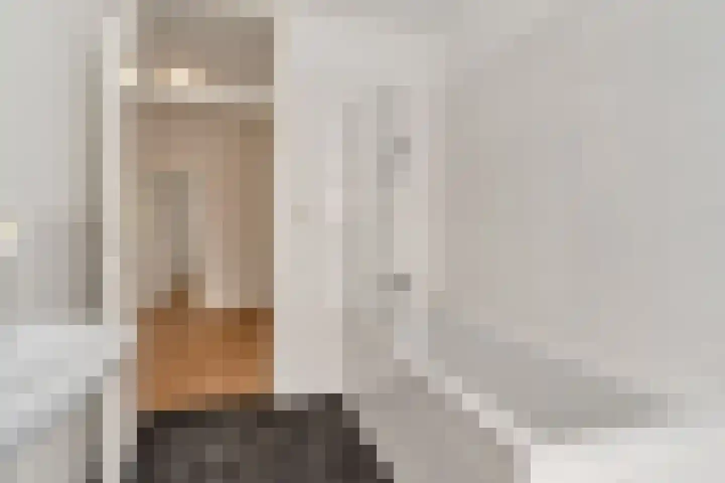 Soestdijksekade 96 Den Haag thumbnail 16
