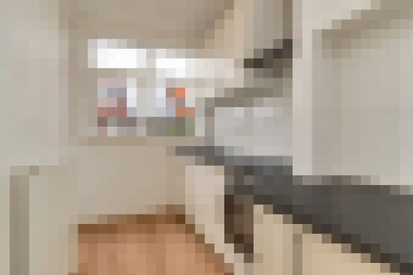 Soestdijksekade 96 Den Haag thumbnail 16