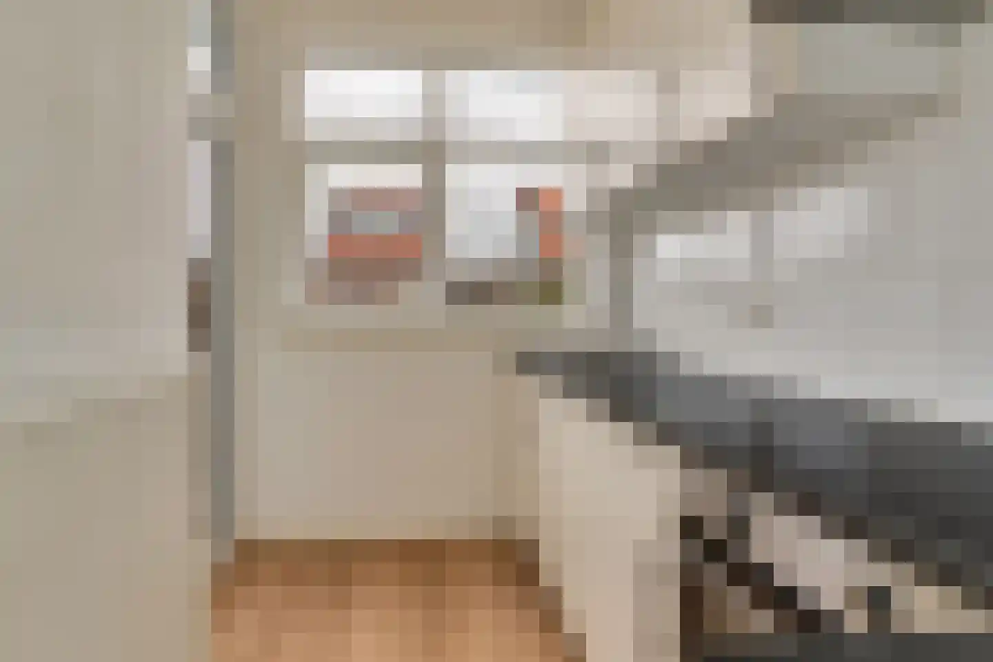 Soestdijksekade 96 Den Haag thumbnail 17