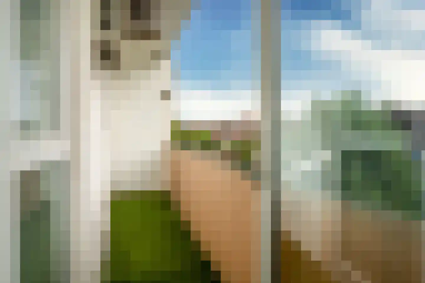 Soestdijksekade 96 Den Haag thumbnail 18