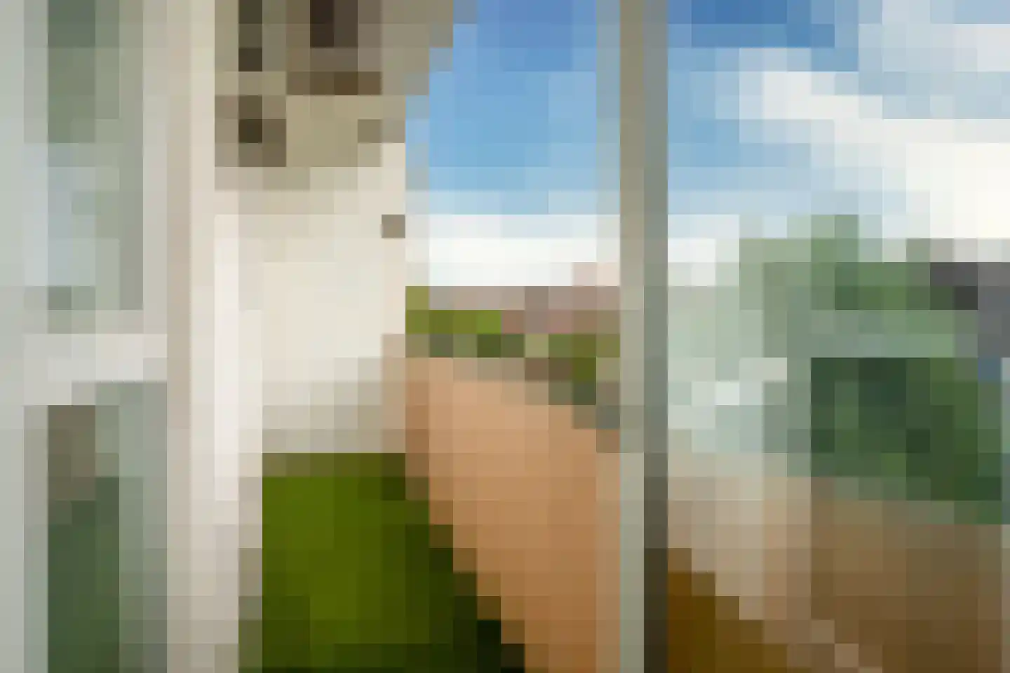 Soestdijksekade 96 Den Haag thumbnail 19