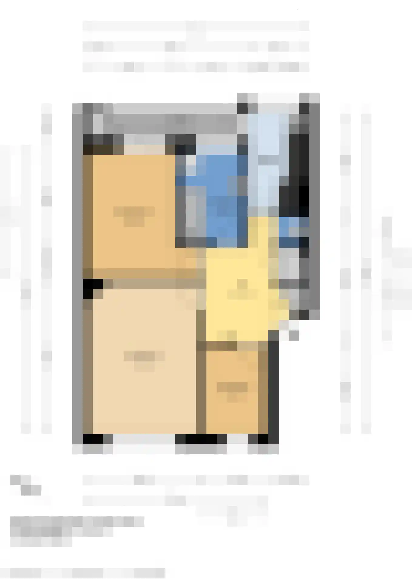 Soestdijksekade 96 Den Haag thumbnail 4
